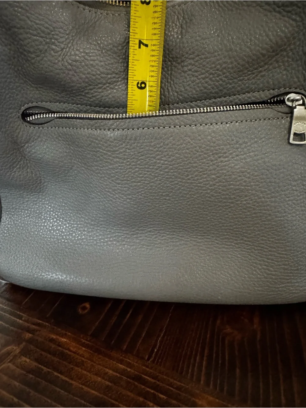 Coach Hobo Beauty!
